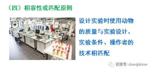 醫(yī)學(xué)SCI臨床科研思路培養(yǎng)及國家自然科學(xué)基金撰寫 聚焦自然科學(xué)研究和試驗(yàn)發(fā)展